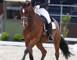 Angela Sklavounos on Quanderas