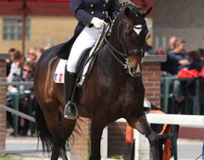 Alix van den Berghe on Doletto