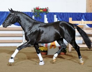 The 2012 South German Licensing Champion by Swarovski x Furst Heinrich