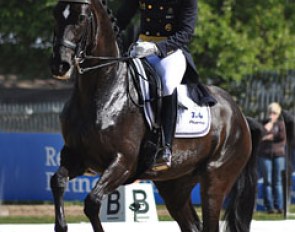 Patrik Kittel on Donna Unique (by Don Schufro x Falkland)