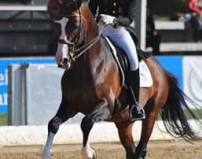 Dorothee Schneider on Polarzauber TSF