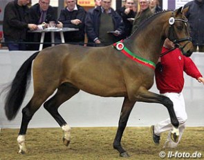 Sir Donnerhall I x Rotspon