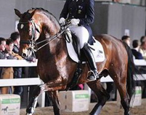 Australian Hayley Beresford on the 12-year old Holsteiner stallion Simba G