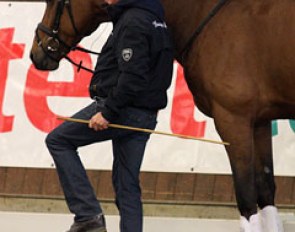The horse needs to lift its leg up from the shoulder