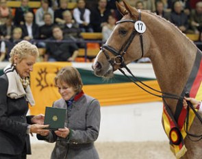 Petra Wilm (president of the Trakehner Breed Society) gives breeder Veronika von Schöning an award for breeding the 2012 Trakehner Licensing Champion Donauruf :: Photo © Stefan Lafrentz