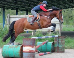 New Zealand Grand Prix horse Airthrey Highlander on his day off from work
