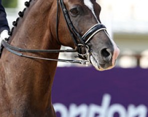 Carl Hester and Roly Luard's Valegro