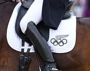 Saddle pad :: Photo © Astrid Appels