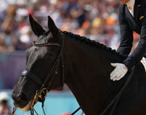 Dorothee Schneider gives Diva Royal a big pat
