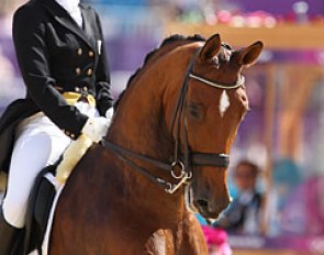 Danish individual rider Lisbet Seierskilde on the home bred Raneur (by Ragazzo x Schwadroneur)