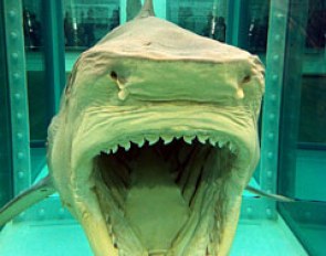The Physical Impossibility of Death in the Mind of Someone Living (1991) by Damien Hirst 