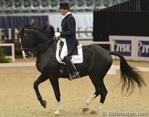 Hasse Hoffmann and Tiesto at the 2012 CDI Oslo :: Photo © Ridehesten.com