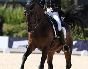 Marion Engelen on Diego
