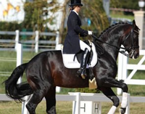 Katja Galmbacher-Weisbrod on Diamonit (by Diamond Hit x Santander)