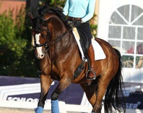 Senta Kirchhoff schooling Wildfire