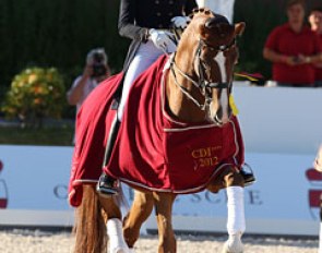 Ulla Salzgeber and Herzruf's Erbe