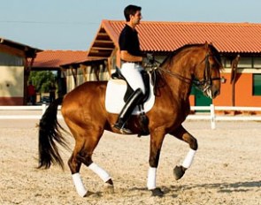 Portuguese trainer Carlos Thomas on Hartstone's Ali Baba