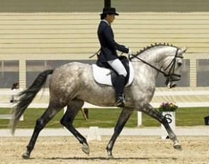 Sarah Warne and her young Lusitano Batialo :: Photo © Pedro Yglesias de Oliveira
