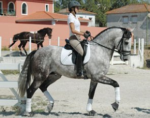 Sarah Warne on her 6-year old Lusitano Batialo