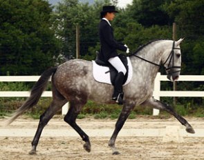 Sarah Warne on her 6-year old Lusitano Batialo