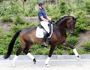 Sopresso (by Serano Gold x Depardieu)