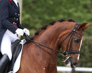 British Emma Corbett on her gorgeous but spooky Furst Diamantina (by Furst Heinrich x Diamantino)