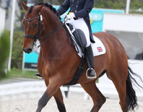 British Grabrielle Lucas on the Danish warmblood Laurentius