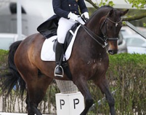 Belgian Sam Rolus on Zaphira