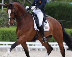 Belgian Laurence Roos on Ambaro Saturnus (by Montecristo)