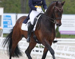 Anouk Theeuwen on Whycocmagh (by Diamond Hit)