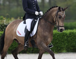 Sanne Vos and Champ of Class :: Photo © Astrid Appels