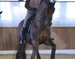 Helen Langehanenberg and her top horse Damon Hill