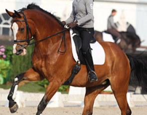 British Nikki Crisp schooling Pasoa early in the morning