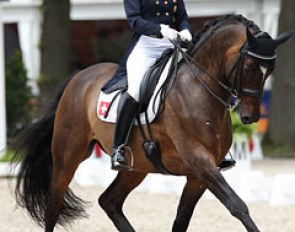 Swiss Elisabeth Eversfield-Koch on Rokoko N