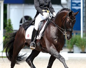 Swedish Minna Telde on the Hanoverian stallion Santana