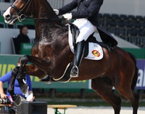 Patrick van der Meer and Uzzo took a flying start to their test