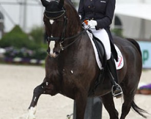 Anky van Grunsven on Salinero