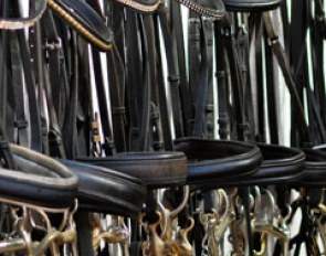 Bridles