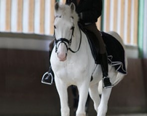 Camille Decloux walking Balagur at Theodorescu's