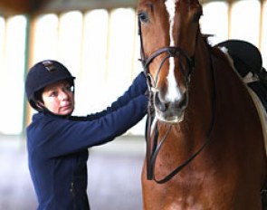 Monica and Fiesta, Westfalian mare by Fineliner x Ramiro's Son