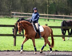 Monica Theodorescu and Whisper having a fun workout outside at their home Lindenhof in Fuchtorf, near Sassenberg, Germany :: Photo © Silke Rottermann