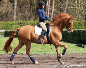 Monica Theodorescu and Whisper at Gestut Lindenhof in Sassenberg, Germany