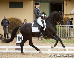 Morgan Barbançon and Painted Black at the 2012 CDIO Saumur :: Photo © Top Iberian