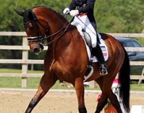 Charlotte Dujardin on Tatler