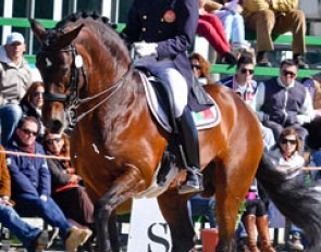 Gonçalo Carvalho and Rubi at the 2012 Sunshine Tour CDI :: Photo © Jumpfotos.com