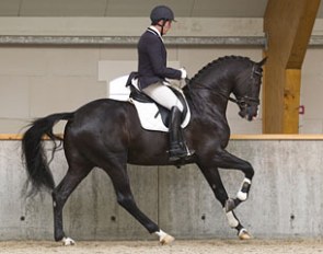 Severo Jurado Lopez on Everdale at the 2012 Spring KWPN Stallion Performance Testing