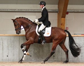 Still in the running: Expression (by Vivaldi x Vincent x Apollonios xx) :: Photo © Aniek Legebeke