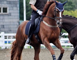 Michael Eilberg schooling Woodlander Farouche