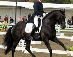 Carl Hester on Uthopia