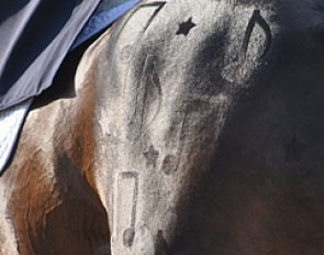 Fabioso's "musical" quarter marks in the Inter I Freestyle